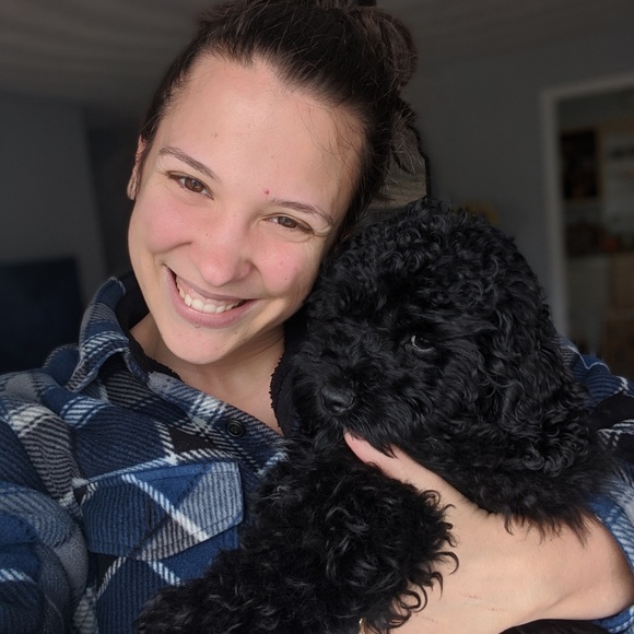 Meet your Posher, Robin - Picture 1 of 1